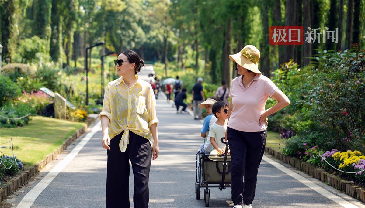 娱乐平台登录地址
